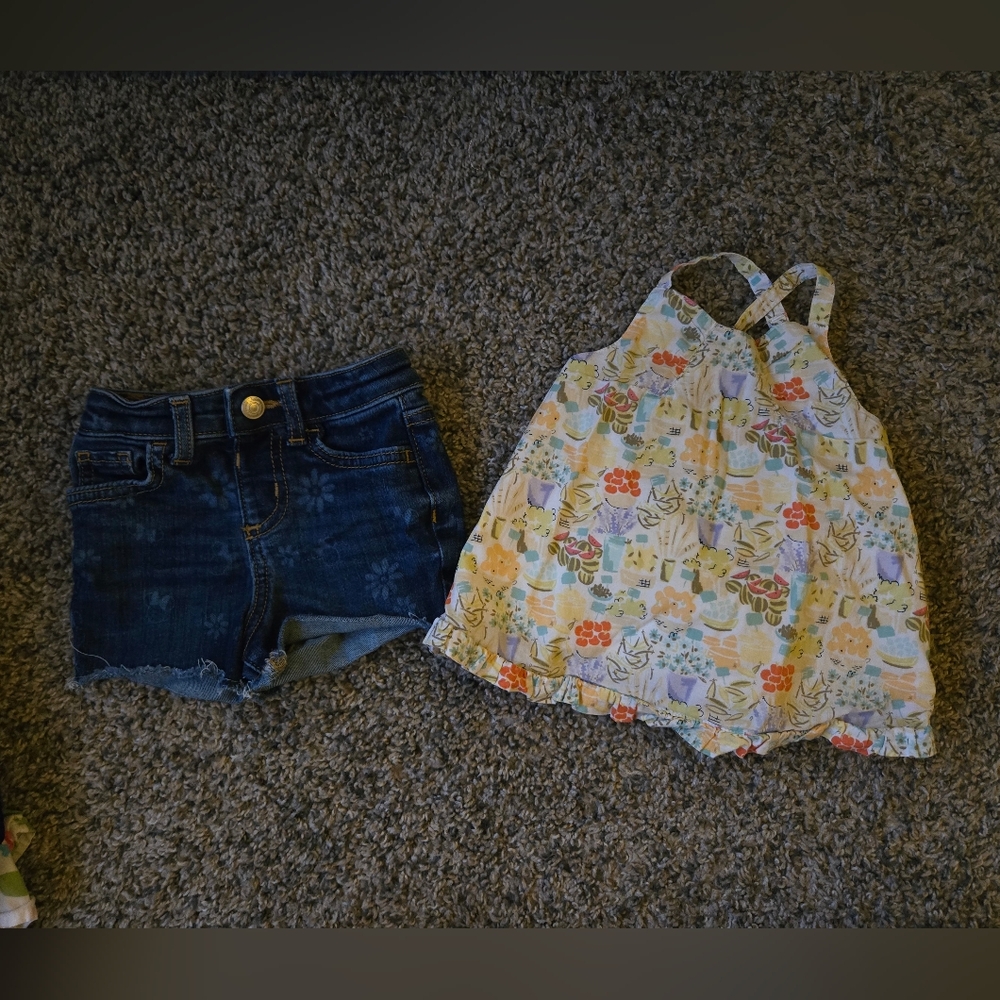 Baby Toddler Girl Clothes Bundle Size 9 Months To 2T - Picture 8 of 13